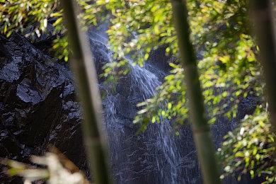 《彩虹六号：异种》玩家首周突破三百万 战友通行证即将推出